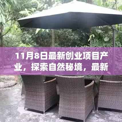 最新创业项目引领心灵之旅,探索自然秘境的奇妙旅程启动!