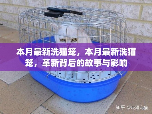 本月最新洗猫笼,革新背后的故事与深远影响