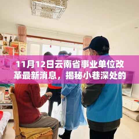云南省事业单位改革最新消息下的特色小店探秘之旅
