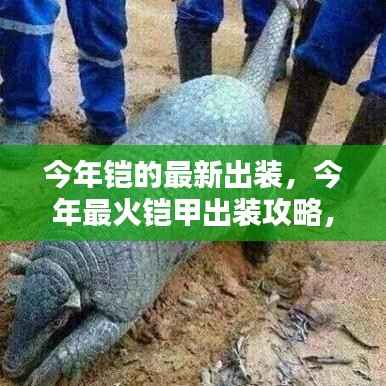 今年最火铠甲出装攻略,打造无敌战力,最新铠甲出装详解