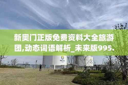 新奥门正版免费资料大全旅游团,动态词语解析_未来版995.79