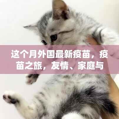 外国最新疫苗引领之旅,友情、家庭与新希望的启航