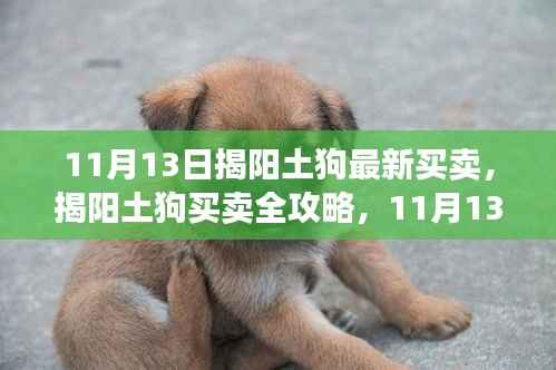揭阳土狗买卖全攻略,最新指南助你轻松完成交易