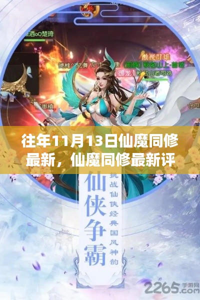 仙魔同修最新评测与用户分析,特性、体验及对比揭秘!往年11月13日更新动态解析。