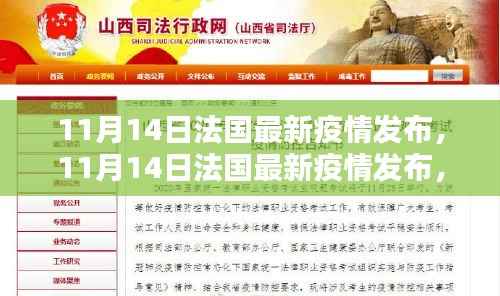 法国最新疫情发布深度解析,当前形势与应对策略探讨(11月14日更新)