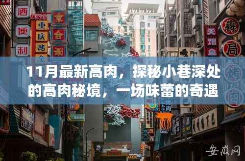 探秘小巷深处的高肉秘境,一场味蕾的十一月奇遇之旅