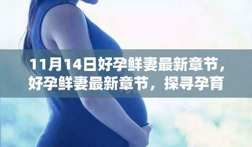 探寻孕育新生命的喜悦与挑战,好孕鲜妻最新章节于11月14日更新