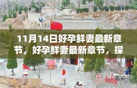 探寻孕育新生命的喜悦与挑战,好孕鲜妻最新章节于11月14日更新