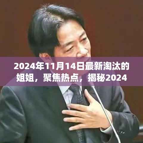 揭秘,2024年11月14日最新淘汰的姐姐背后的故事与热点聚焦