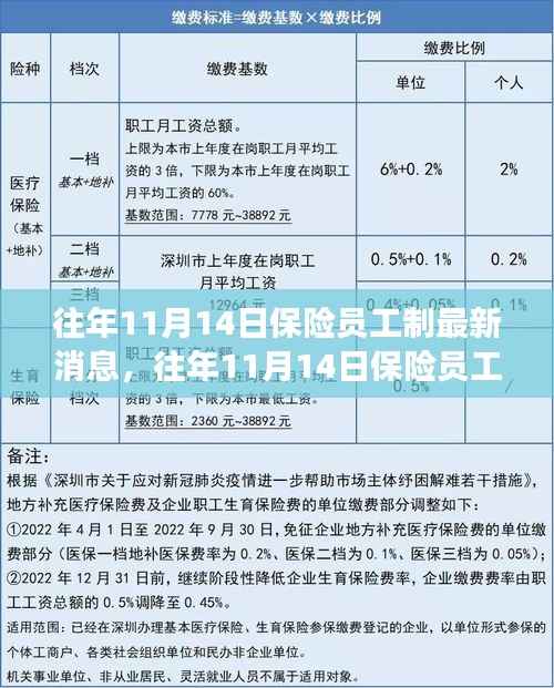 三大要点深度解读,往年11月14日保险员工制最新消息与更新解读