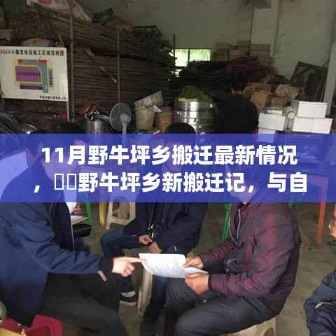 在线留言 第199页