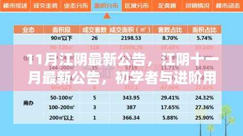 江阴十一月最新公告发布,初学者与进阶用户指南详解