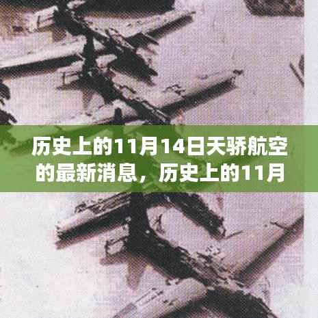 历史上的天骄航空,探寻自然美景与心灵宁静之旅的启程日——11月14日最新消息