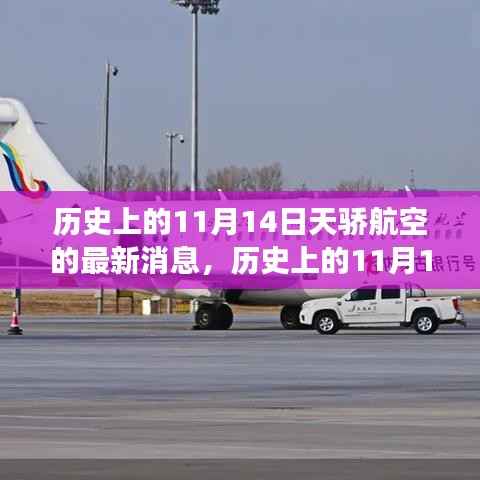 历史上的天骄航空,探寻自然美景与心灵宁静之旅的启程日——11月14日最新消息