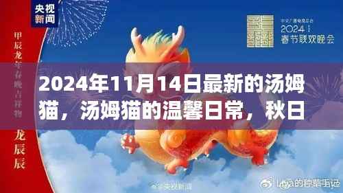 汤姆猫秋日温馨日常,欢乐时光的记录