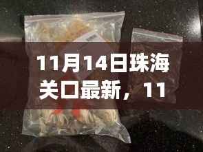 揭秘,珠海海关最新动态与政策进出口物流新变化(11月14日更新)