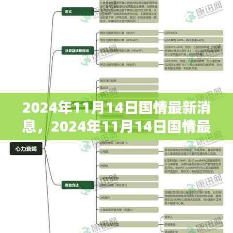 独家解读,深度剖析2024年国情最新动态与某某观点探析