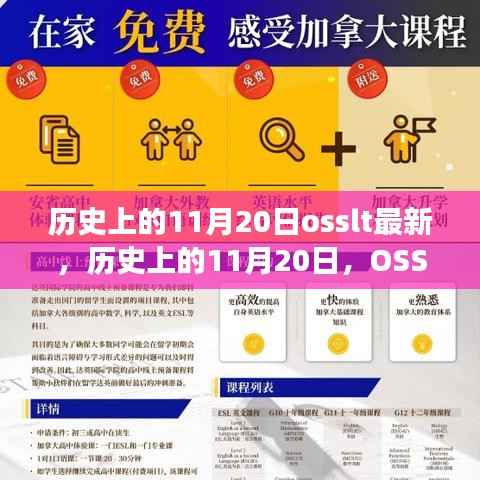 历史上的11月20日,最新回顾与OSSLT发展概览