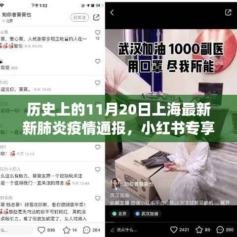 历史上的11月20日上海新冠肺炎疫情通报纪实,小红书专享疫情更新