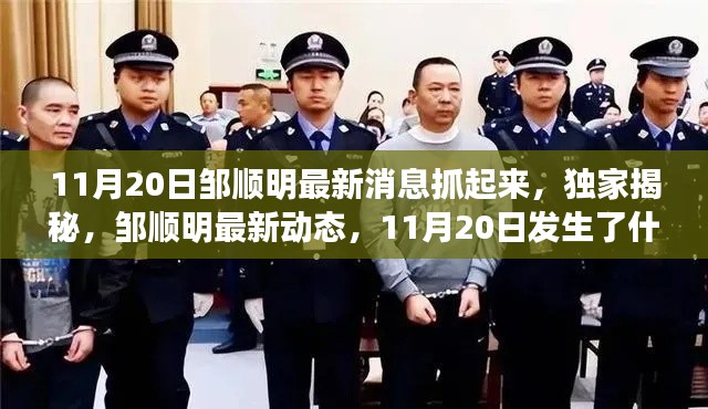 独家揭秘,邹顺明最新动态及11月20日事件内幕揭秘