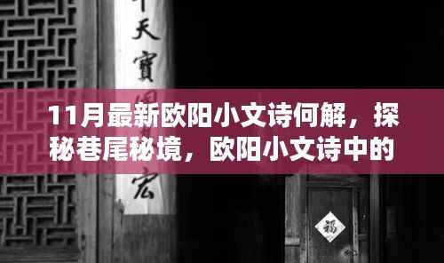 欧阳小文诗探秘巷尾秘境,揭秘新解与隐藏佳肴