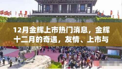 金辉十二月,友情、上市与家的温馨故事,十二月金辉上市热议话题