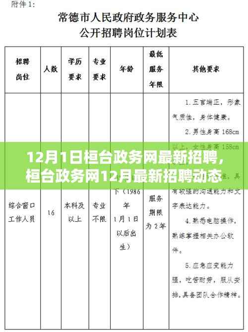 桓台政务网12月最新招聘动态,开启职业机遇之门