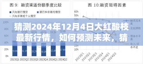 2024年预测,大红酸枝最新行情展望与步骤指南