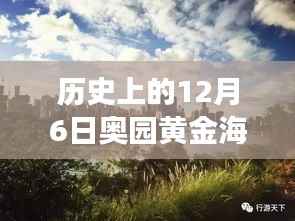 揭秘黄金海岸,历史上的12月6日最新动态与发展历程揭秘