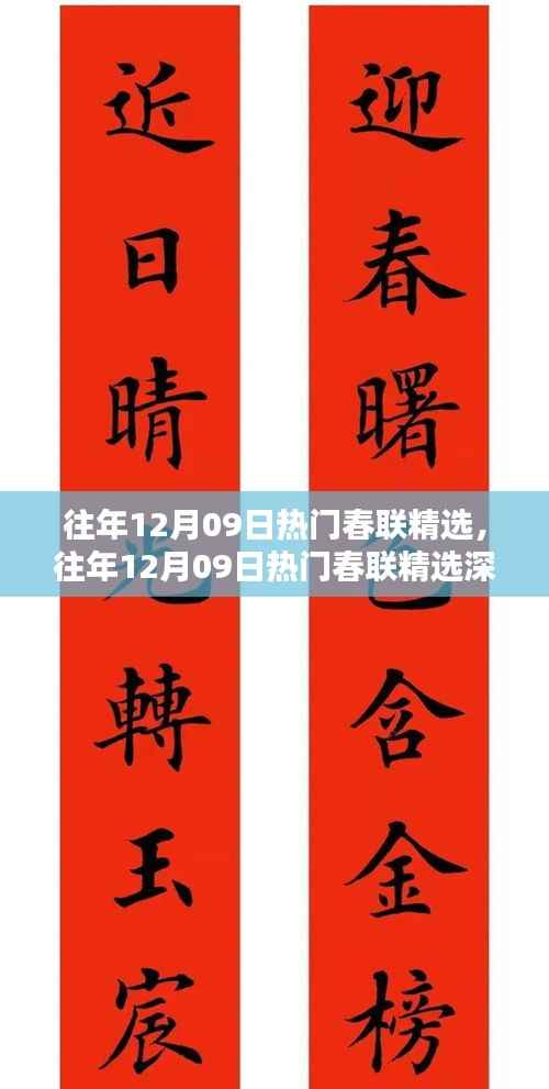 往年12月09日热门春联精选及其深度评测与介绍