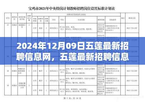 五莲最新招聘信息网使用指南(初学者与进阶用户适用,发布日期,2024年12月9日)