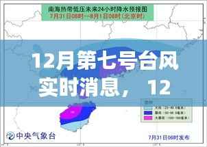 全方位解读与案例分析,12月第七号台风实时消息及最新进展