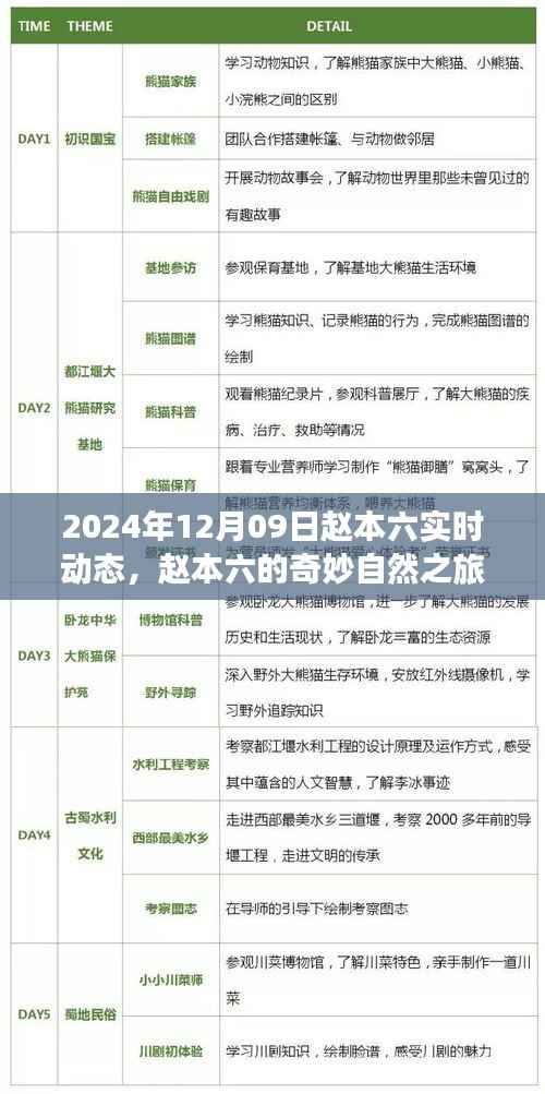 赵本六的奇妙自然之旅,寻找内心平静的美丽秘境(实时更新)