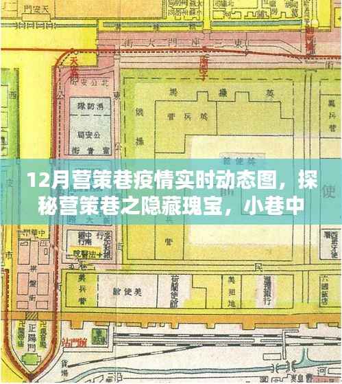 营策巷疫情动态与隐藏瑰宝探索,小巷特色小店实时更新数据报告
