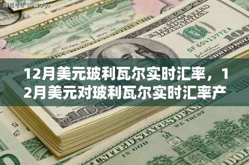 12月美元对玻利瓦尔实时汇率详解，产品与评测一网打尽