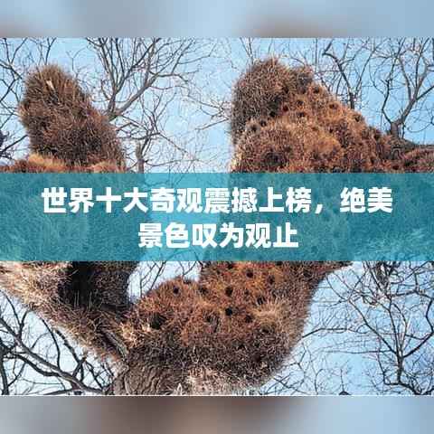 世界十大奇观震撼上榜,绝美景色叹为观止