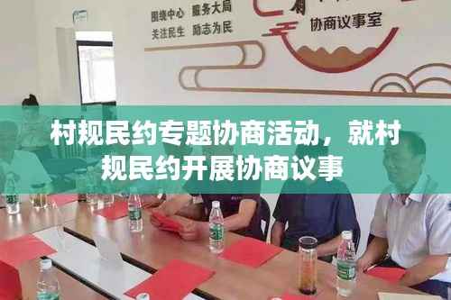 村规民约专题协商活动,就村规民约开展协商议事