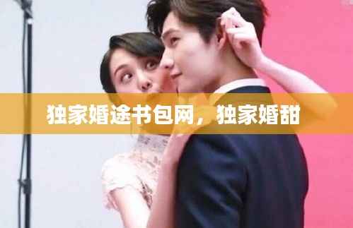 独家婚途书包网,独家婚甜