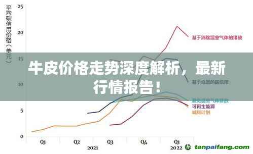 牛皮价格走势深度解析,最新行情报告!