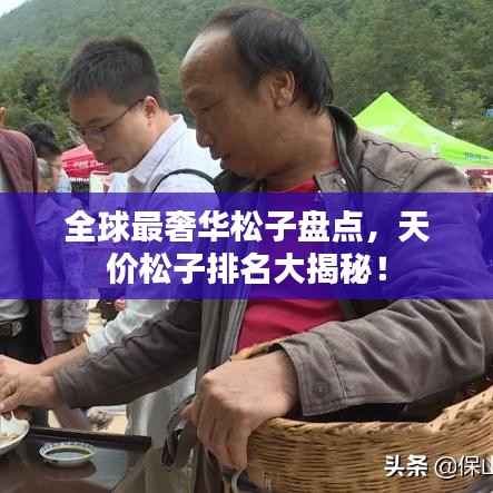 全球最奢华松子盘点,天价松子排名大揭秘!