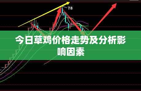 今日草鸡价格走势及分析影响因素