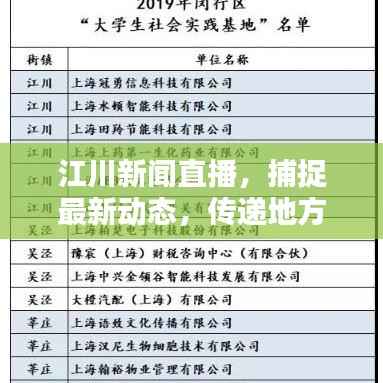 江川新闻直播,捕捉最新动态,传递地方声音,尽在头条资讯