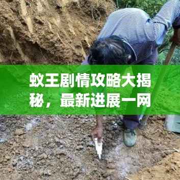 蚁王剧情攻略大揭秘,最新进展一网打尽!