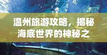 温州旅游攻略,揭秘海底世界的神秘之旅