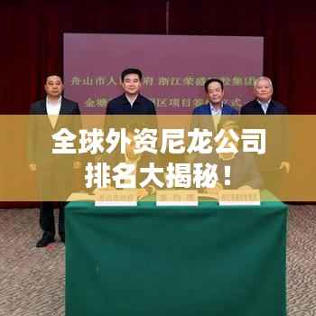 全球外资尼龙公司排名大揭秘!