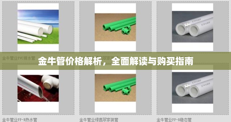 金牛管价格解析,全面解读与购买指南