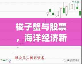 梭子蟹与股票，海洋经济新风口！