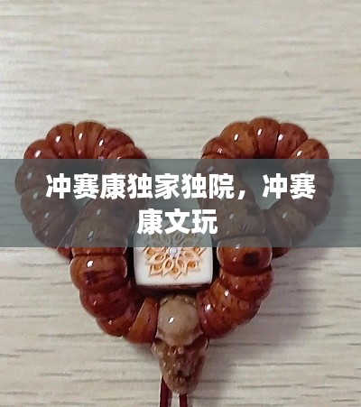 冲赛康独家独院，冲赛康文玩 