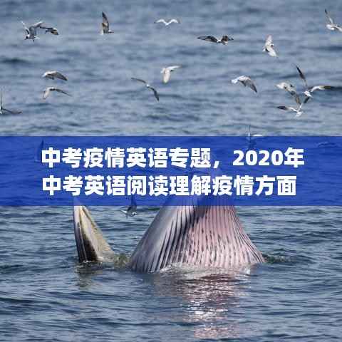 中考疫情英语专题,2020年中考英语阅读理解疫情方面