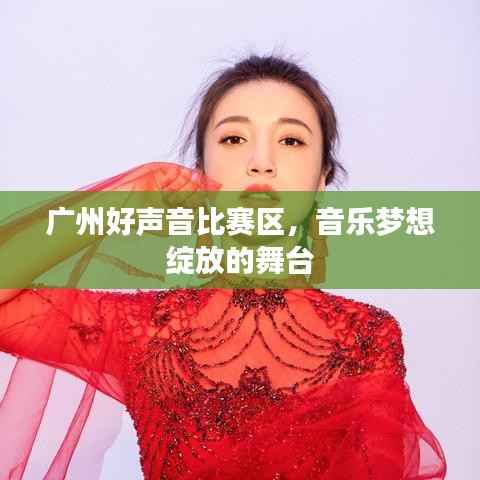 广州好声音比赛区,音乐梦想绽放的舞台